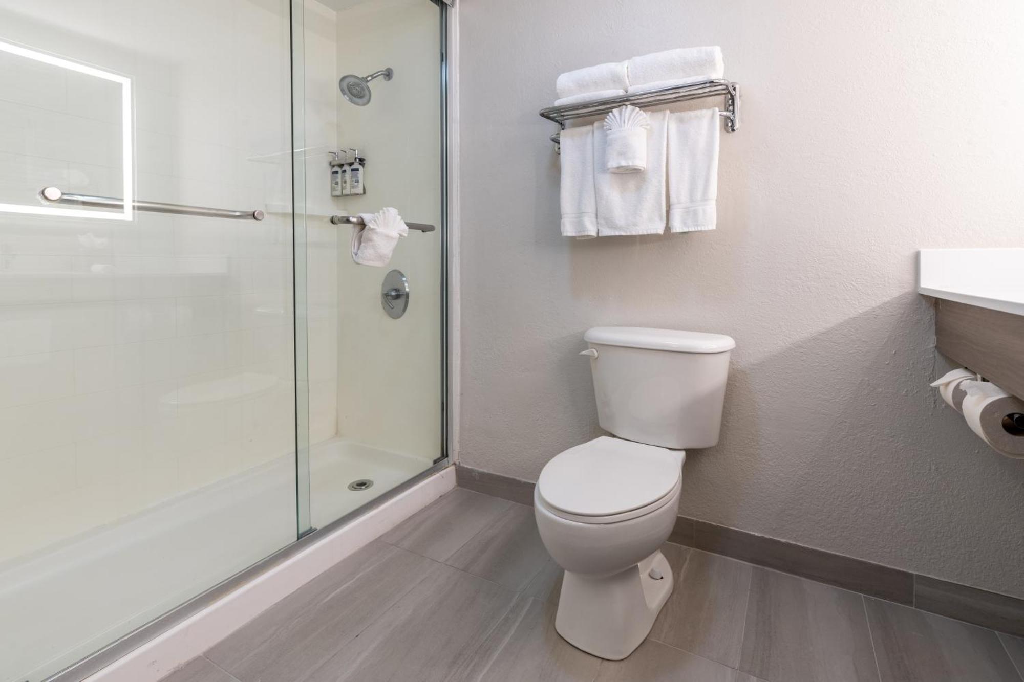Standard King Room with Roll-In Shower - Communications Access
