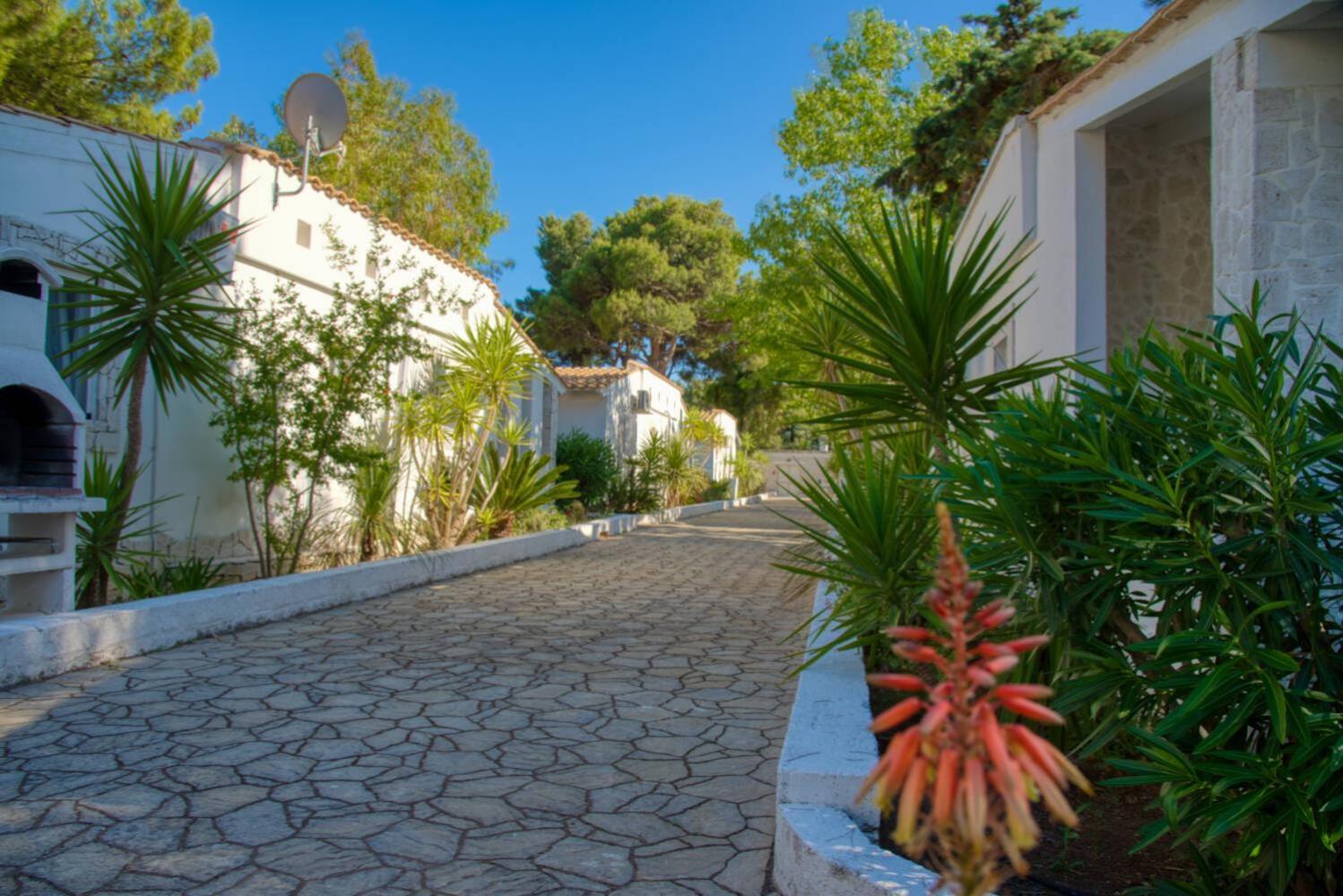 Standard Villa