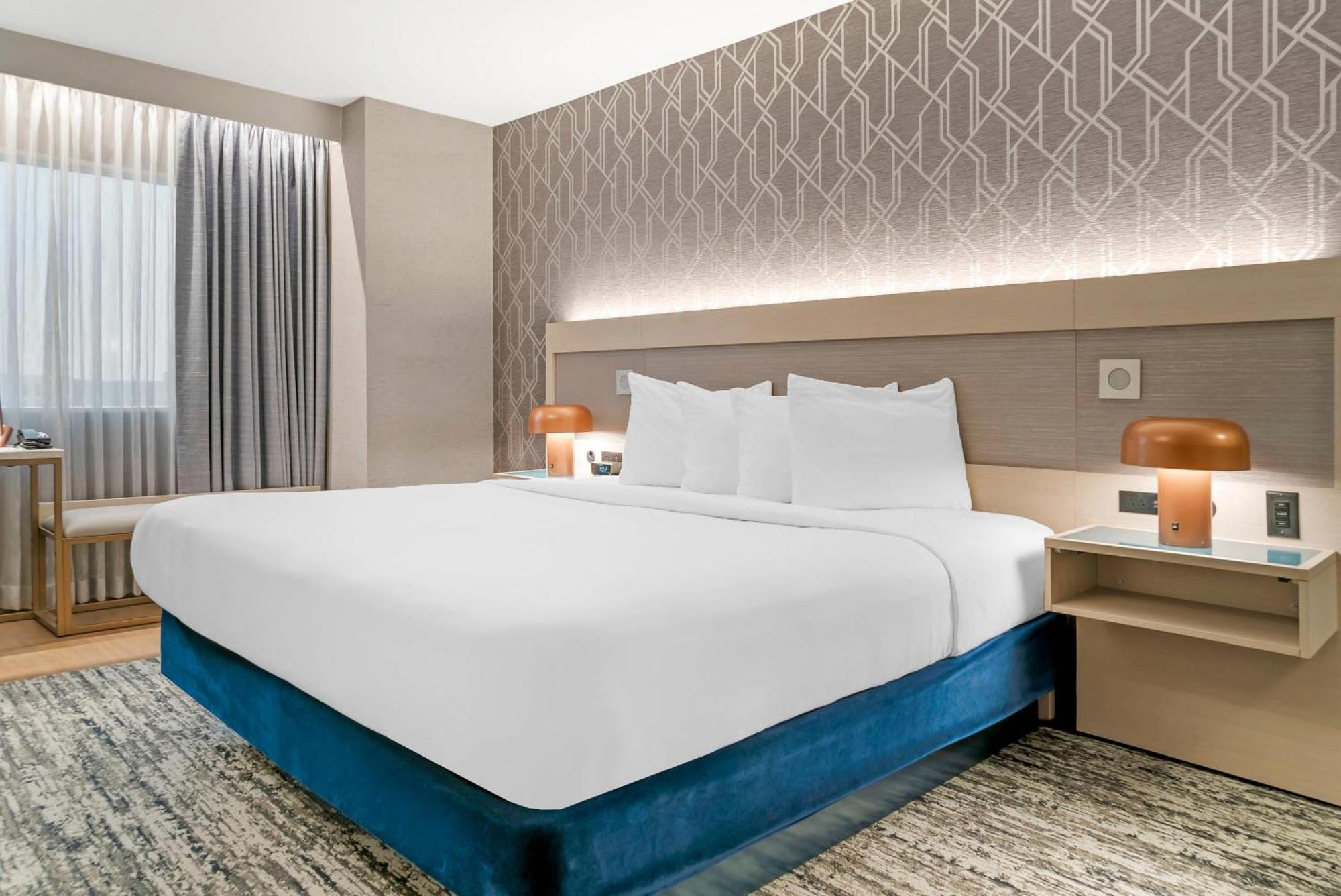 1 King Bed