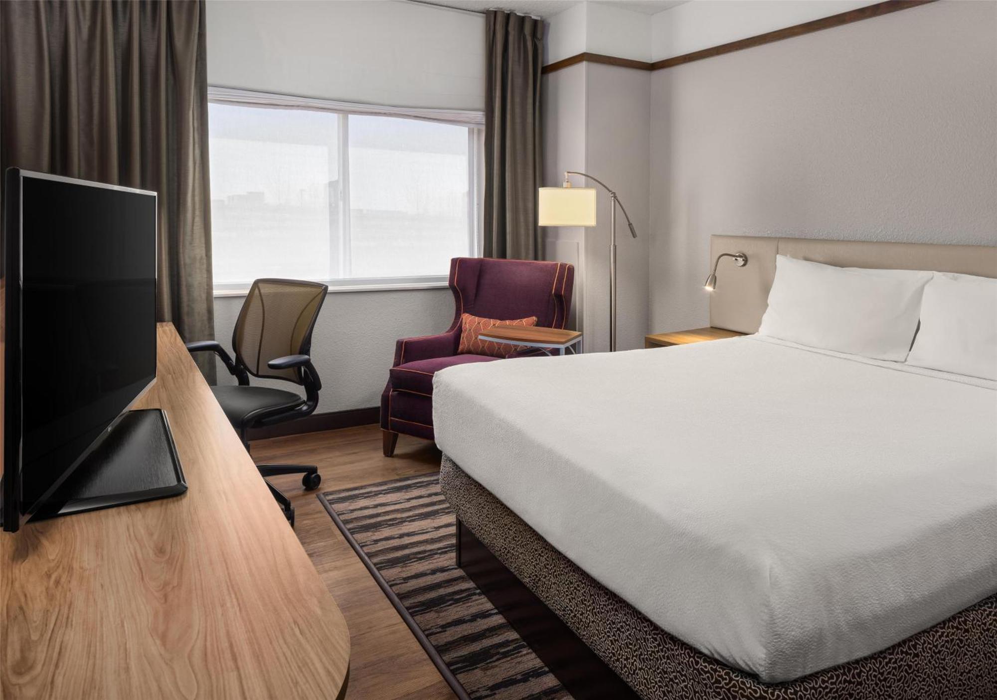 Junior King Suite with Sofa Bed