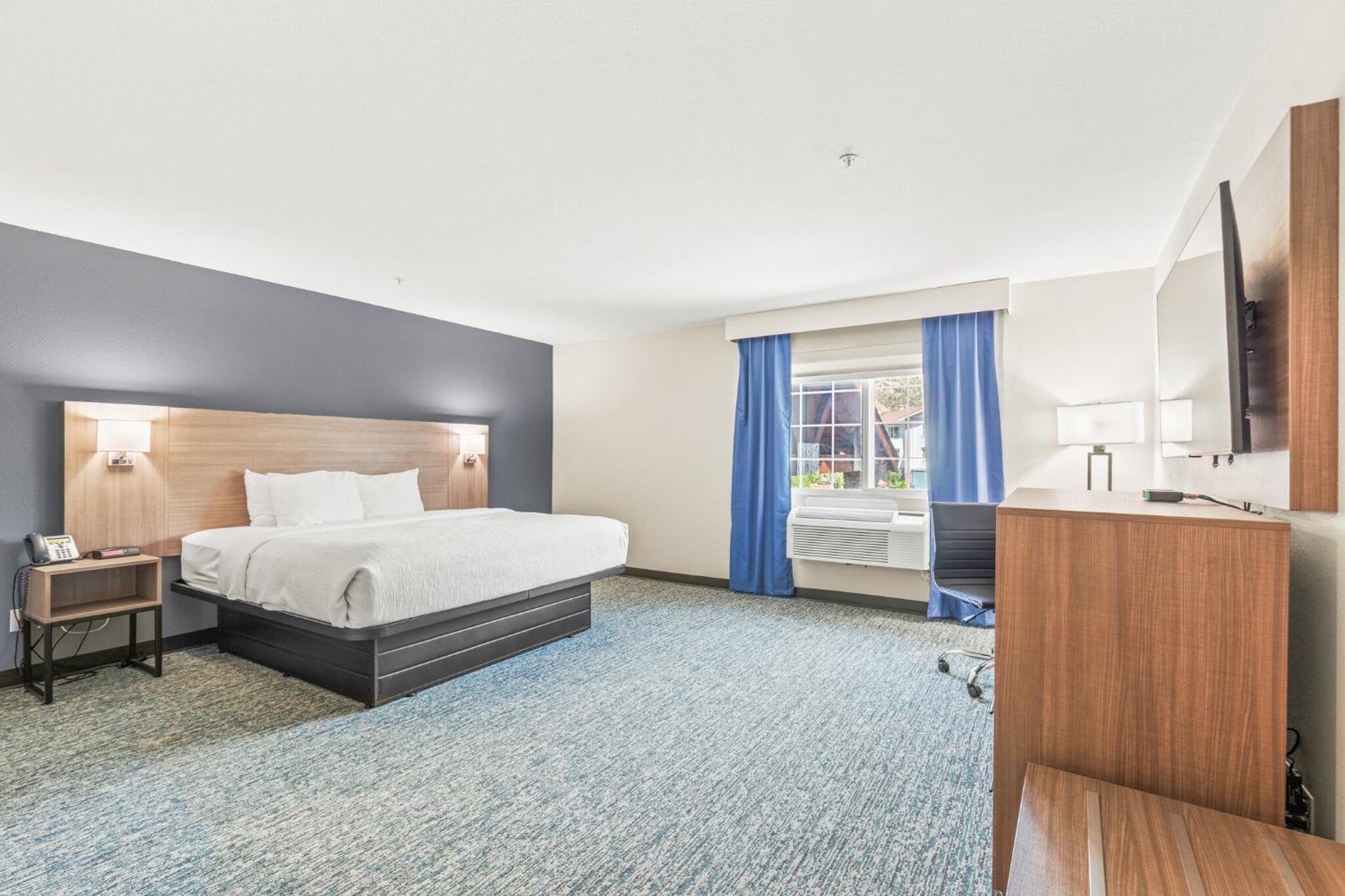 Efficiency King Suite with Sofa Bed - Non Smoking