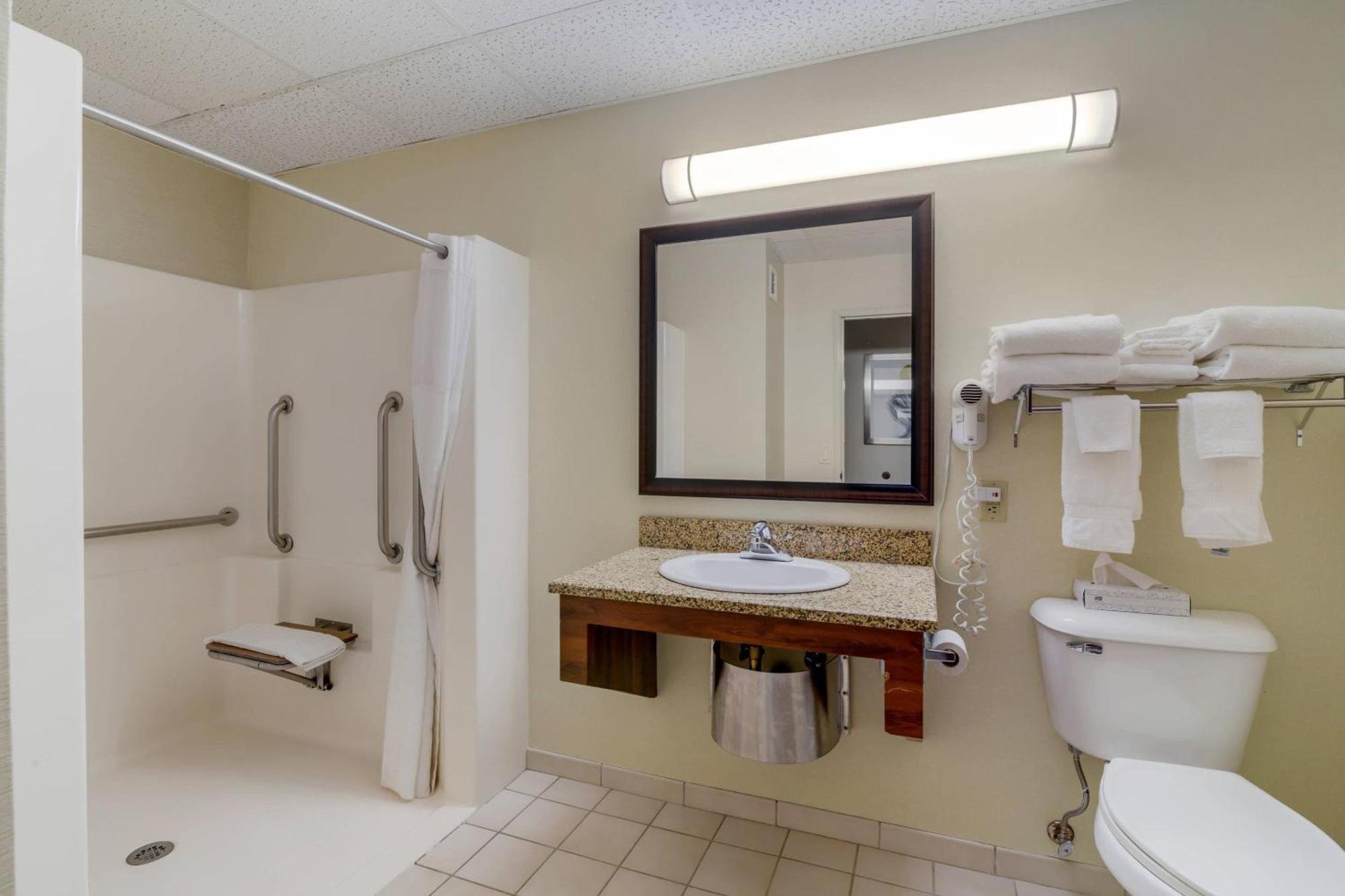King Room Roll Shower Accessible or Non-Smoking,1703574881:JPEG