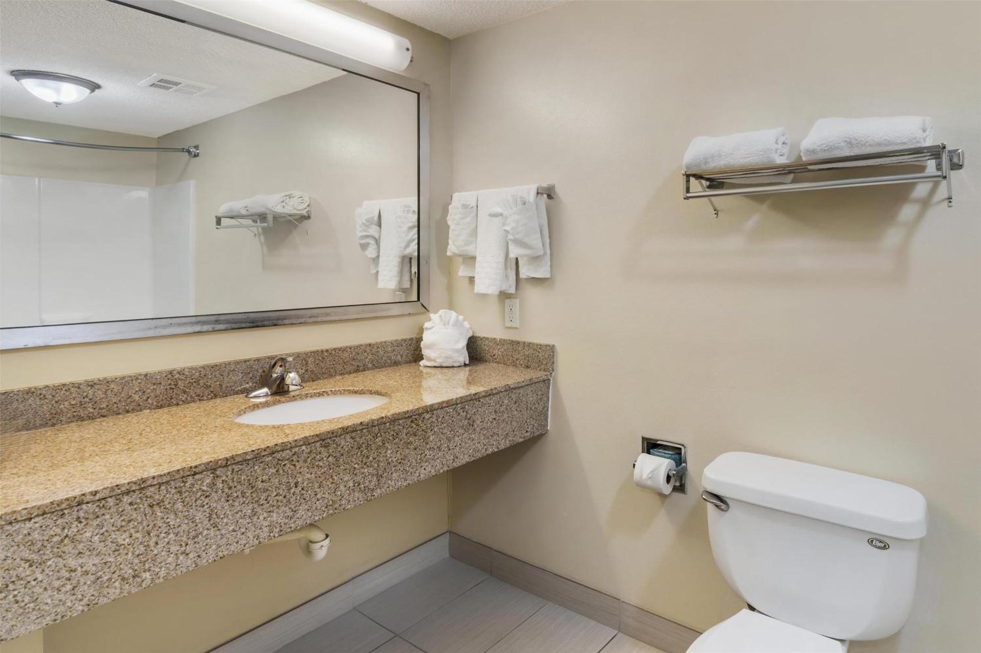One-Bedroom King Suite with Sofa Bed - Non-Smoking
