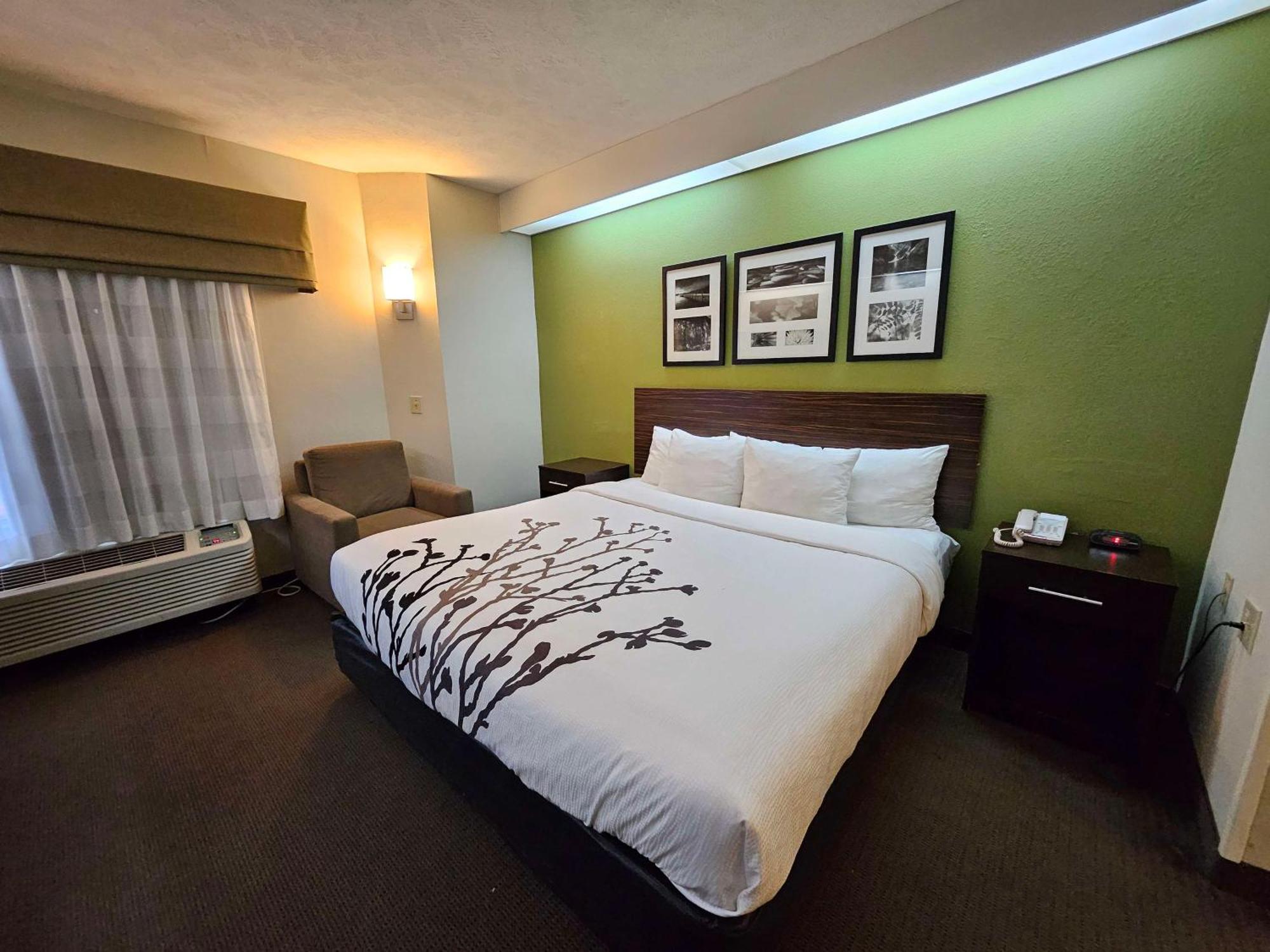 King Room - Mobility Accessible with Bathtub