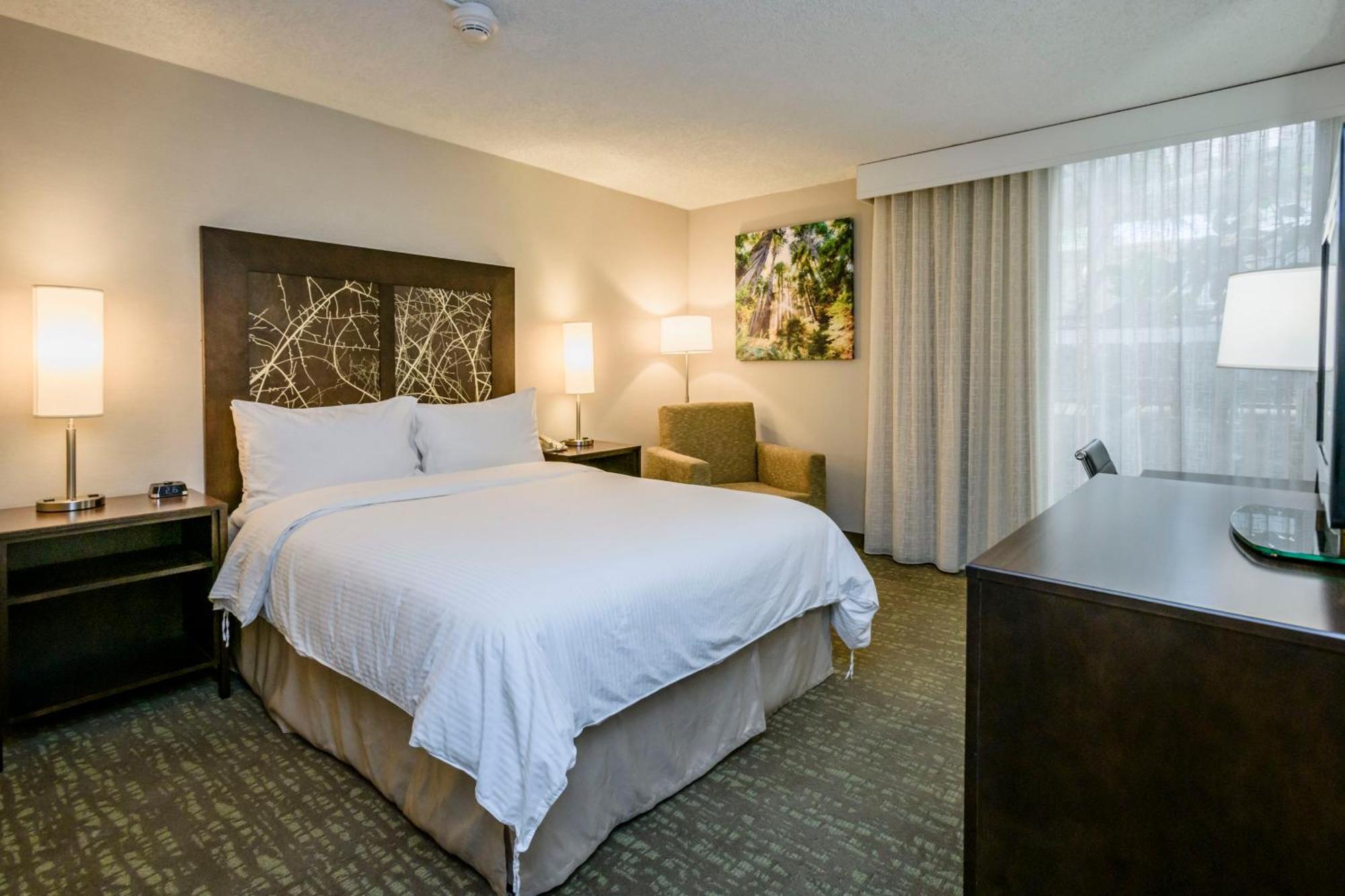 King Room with Sofa Bed