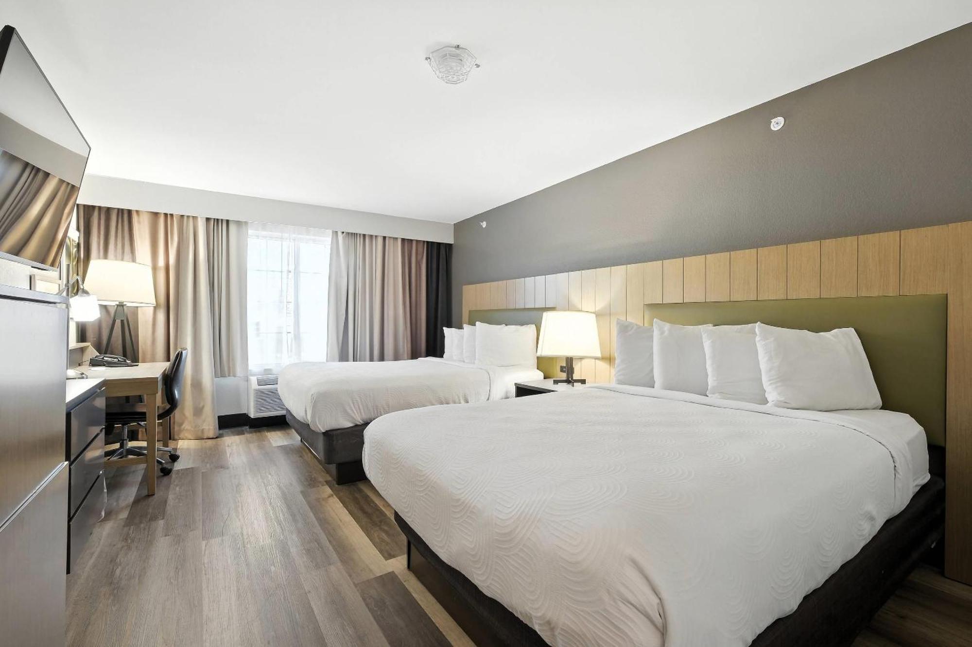 Queen Room with Two Queen Beds