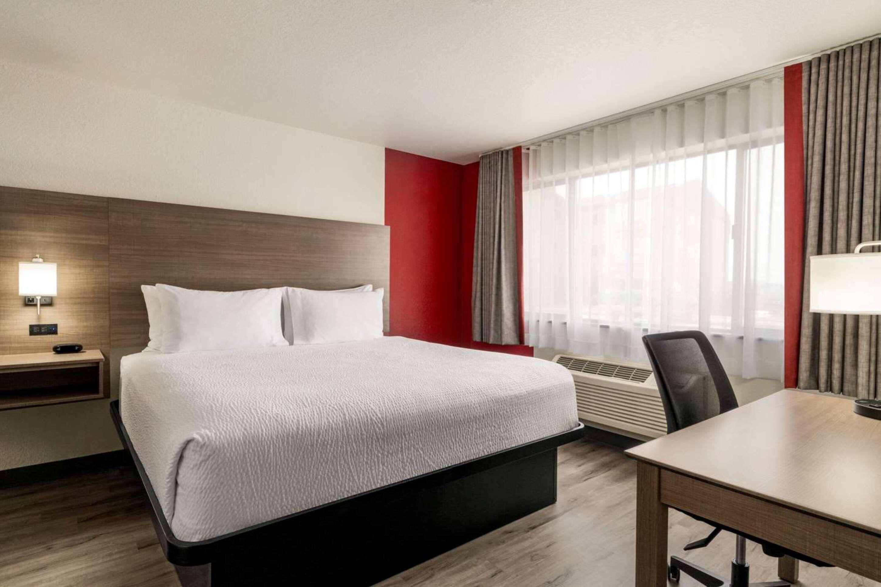 King Suite with One King Bed - Separate Building/Non-Smoking