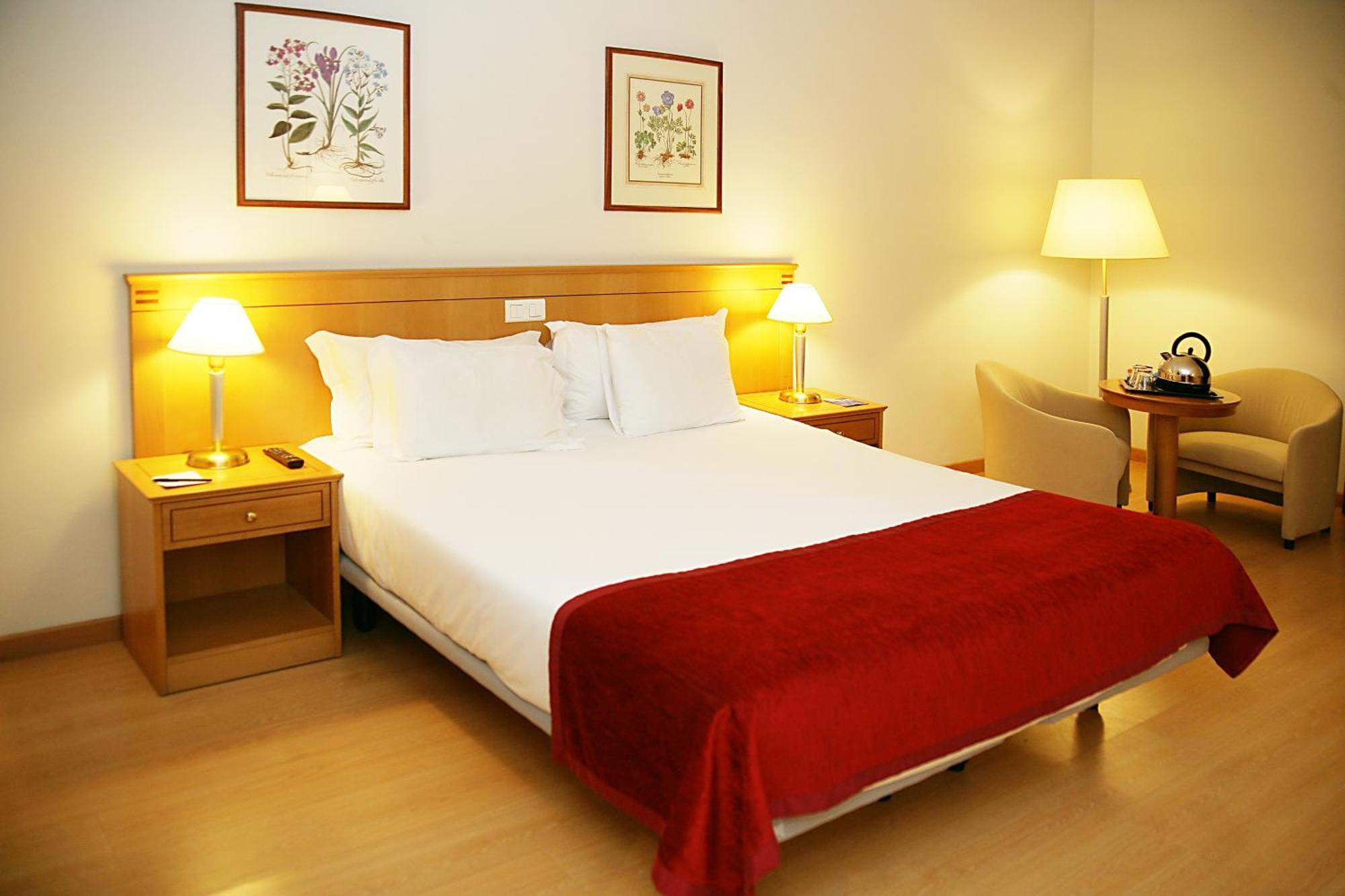 1 Double Bed, Premium, Non Smoking,1400021936:JPEG