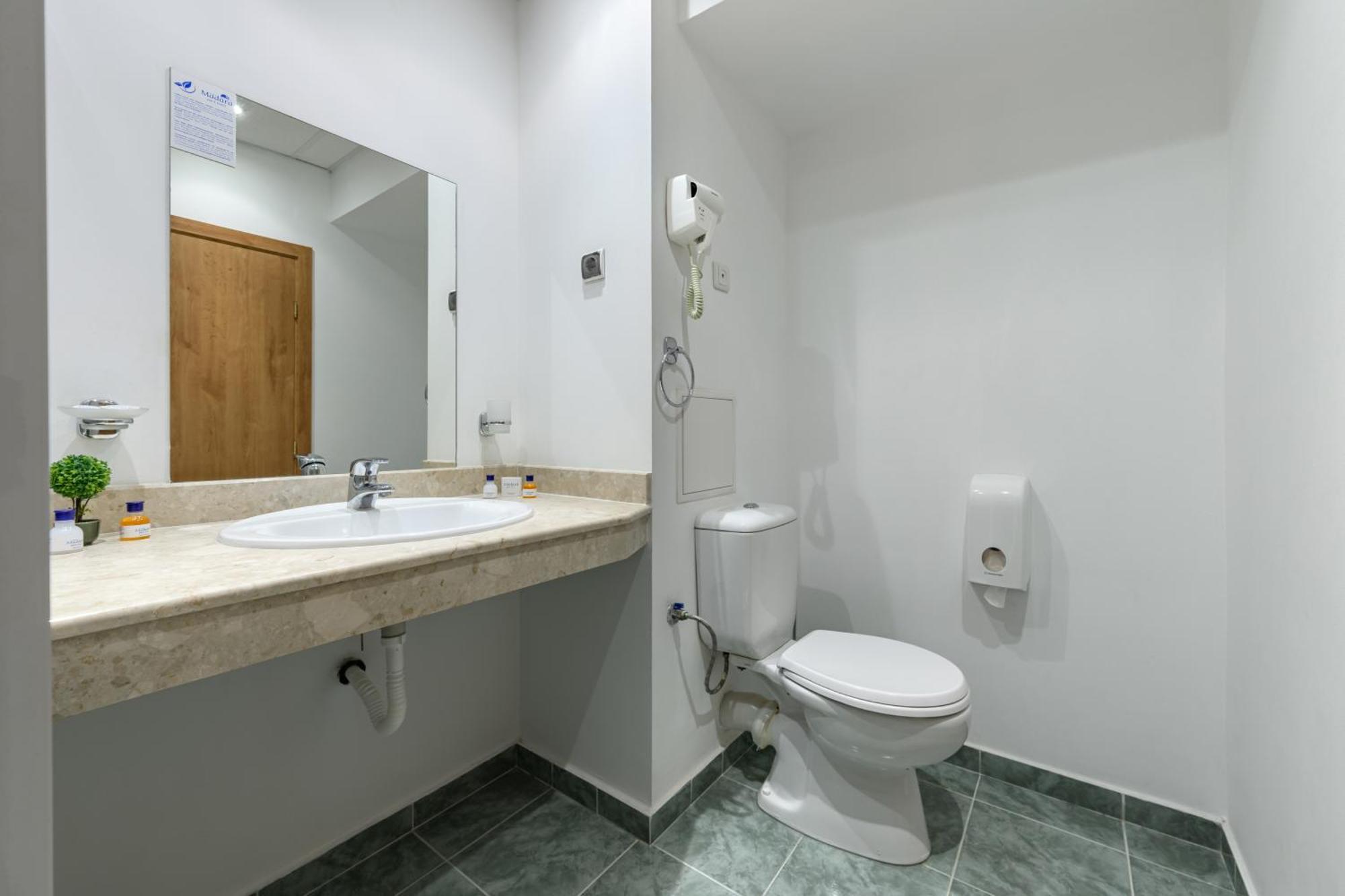 Superior Twin Room with Pool or Park View and balcony (2 adults + 1 child up to 11.99 years old)