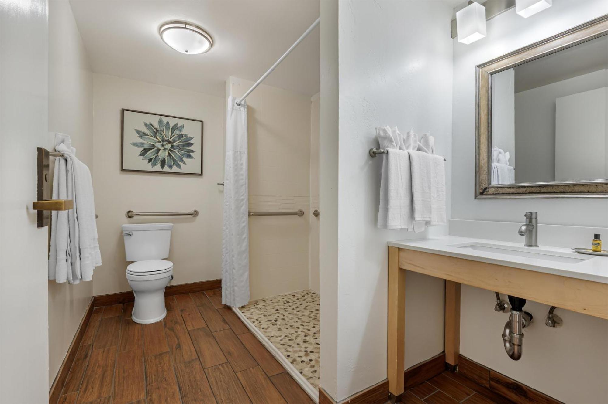 King Suite with Roll-In Shower and Sofa Bed - Disability Access/Non-Smoking