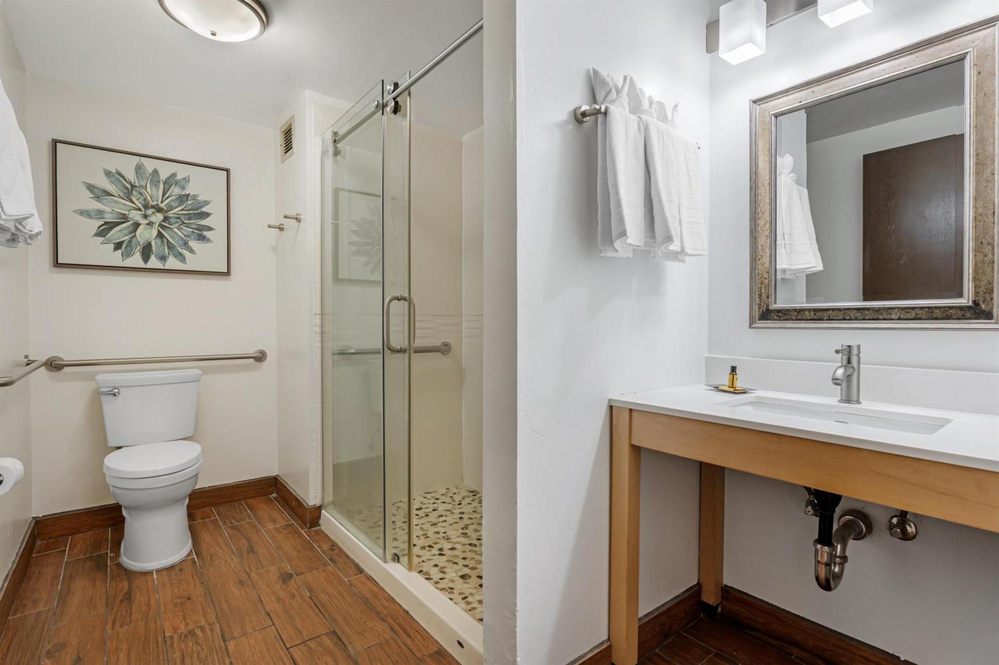 King Suite with Walk-In Shower and Sofa Bed - Disability Access/Non-Smoking