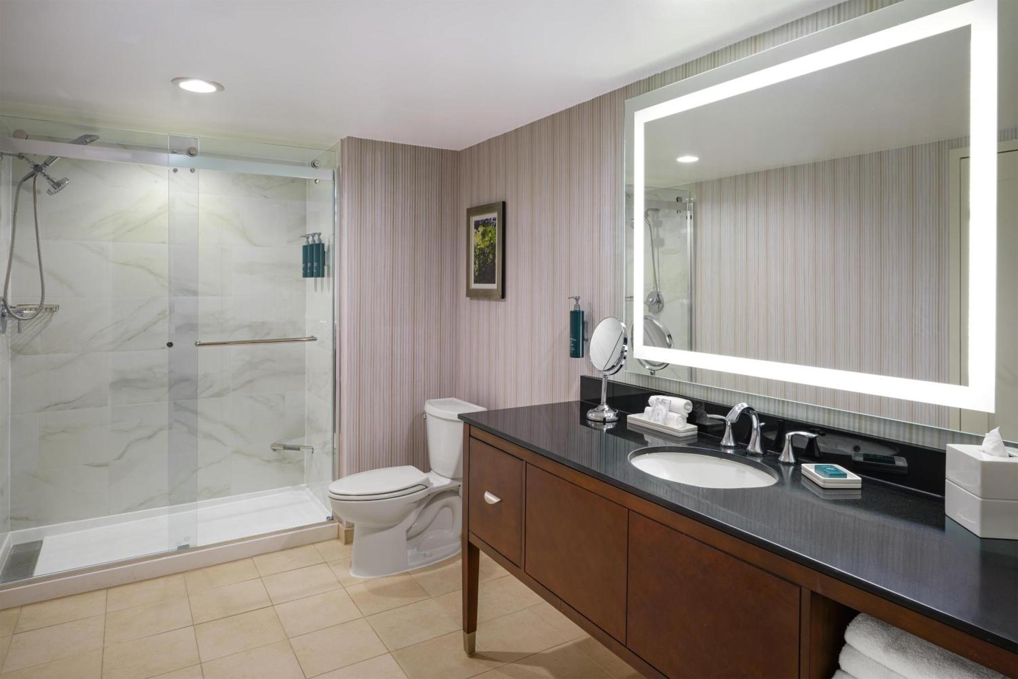 One-Bedroom King Suite