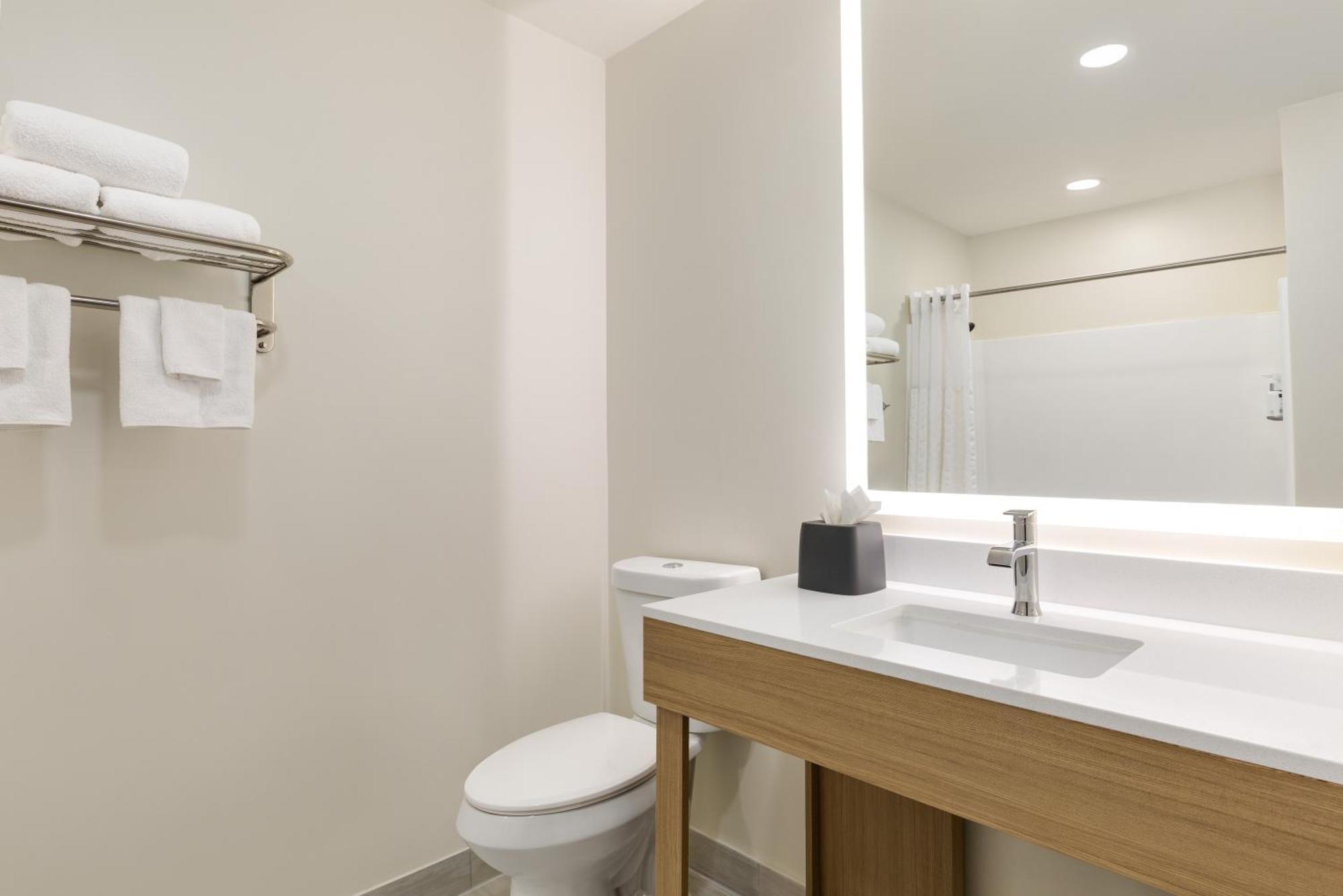 Standard King Room with Mobility Accessible Roll-In Shower