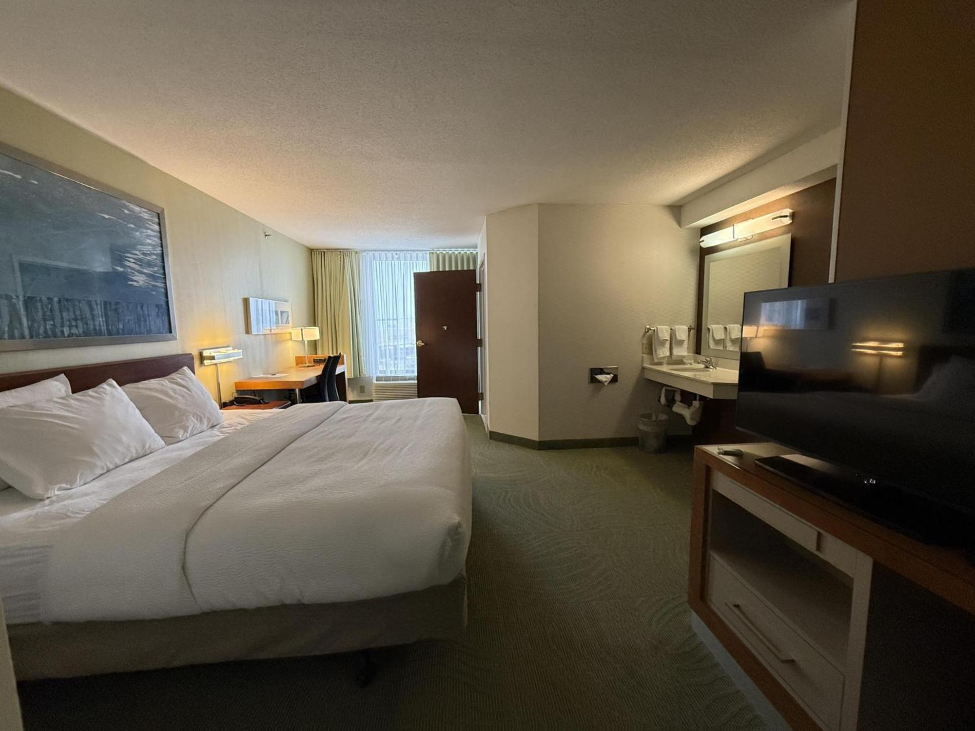King Room with Sofa Bed and Wet Bar - Non-Smoking