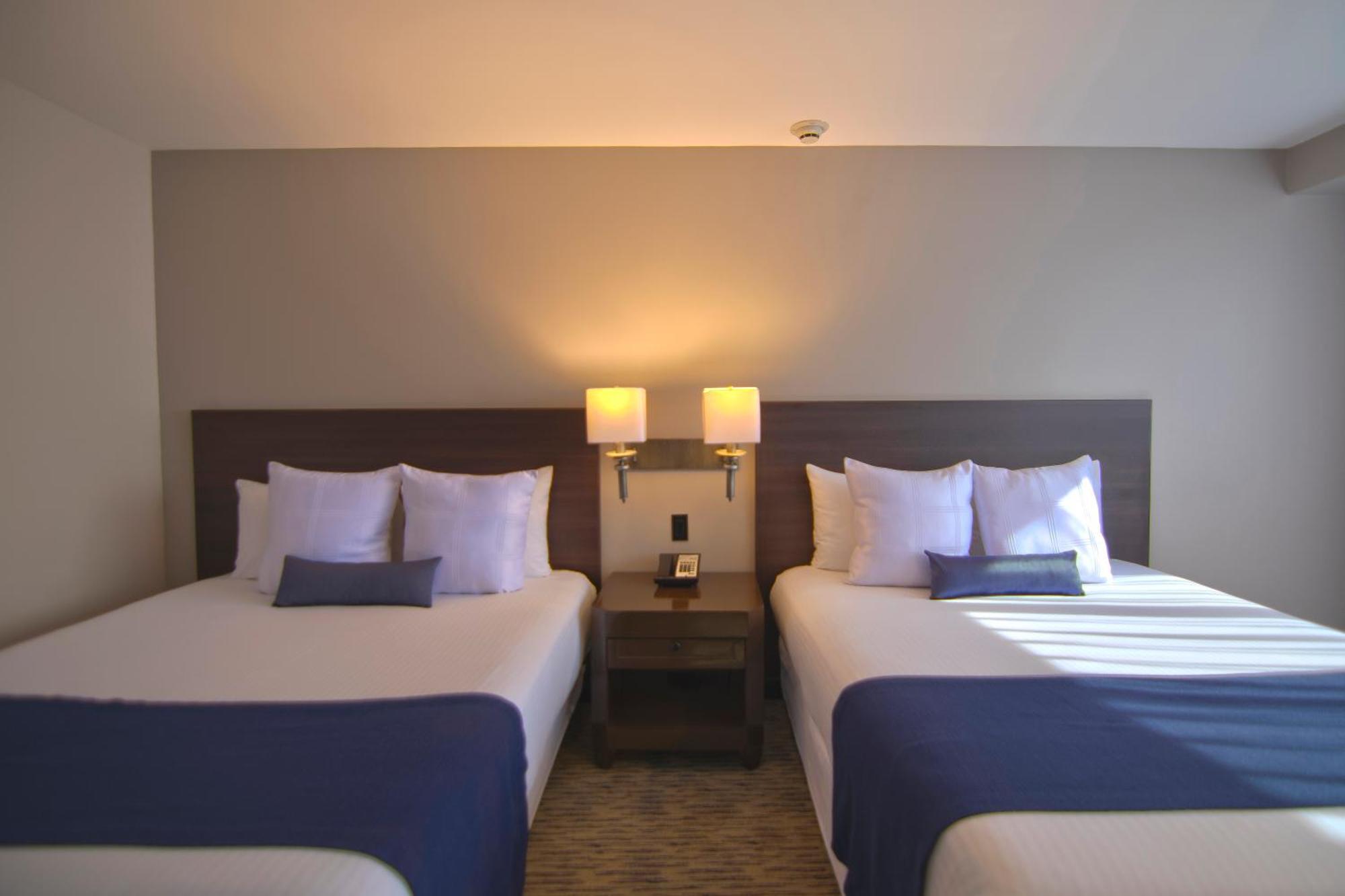 Executive Double Room 2 Double Beds,1742759191:JPEG