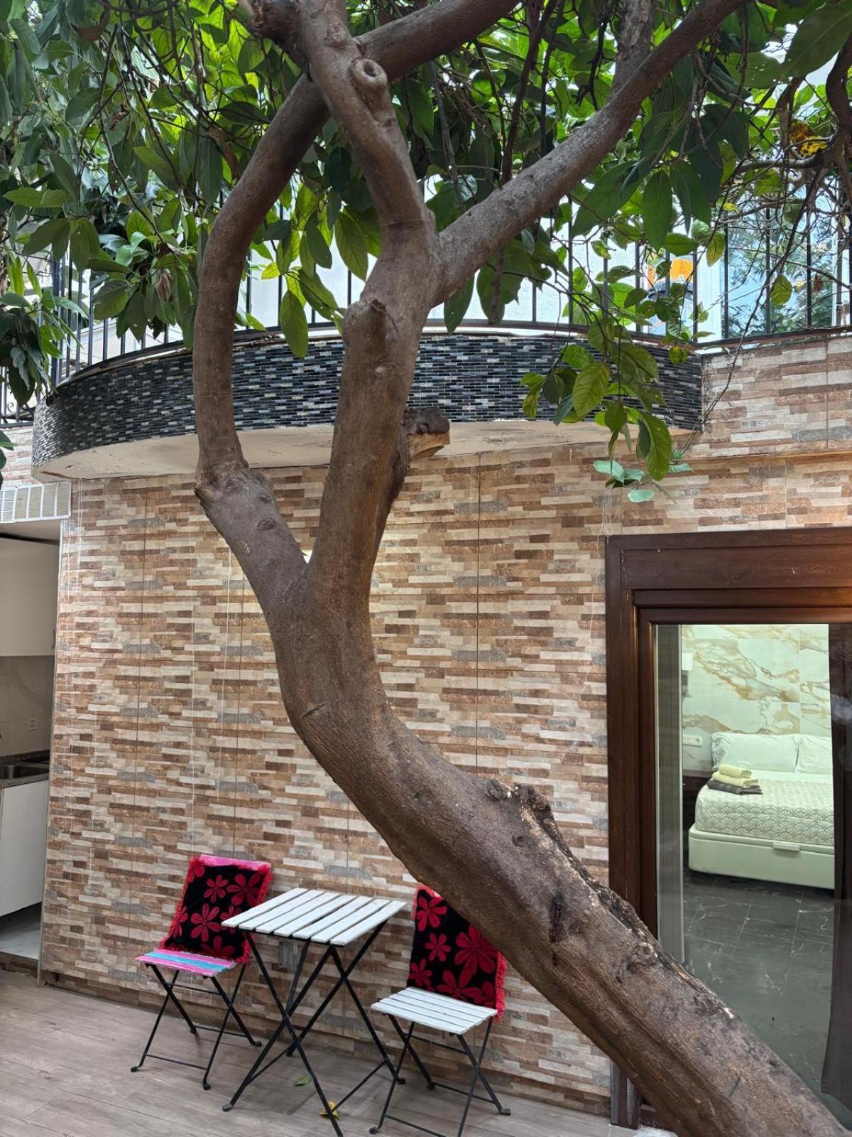 Estudio con terraza