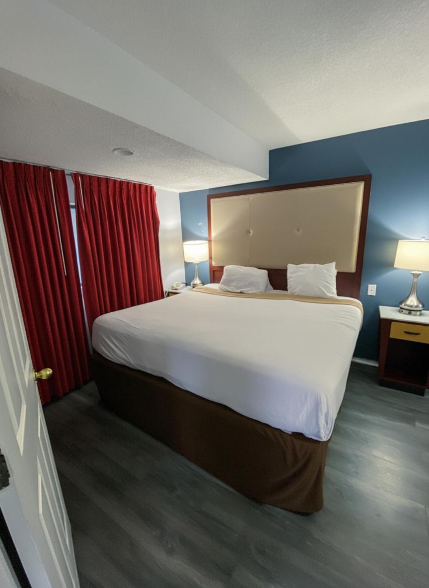 King Room - Disability Access/Non-Smoking,1746926486:JPEG