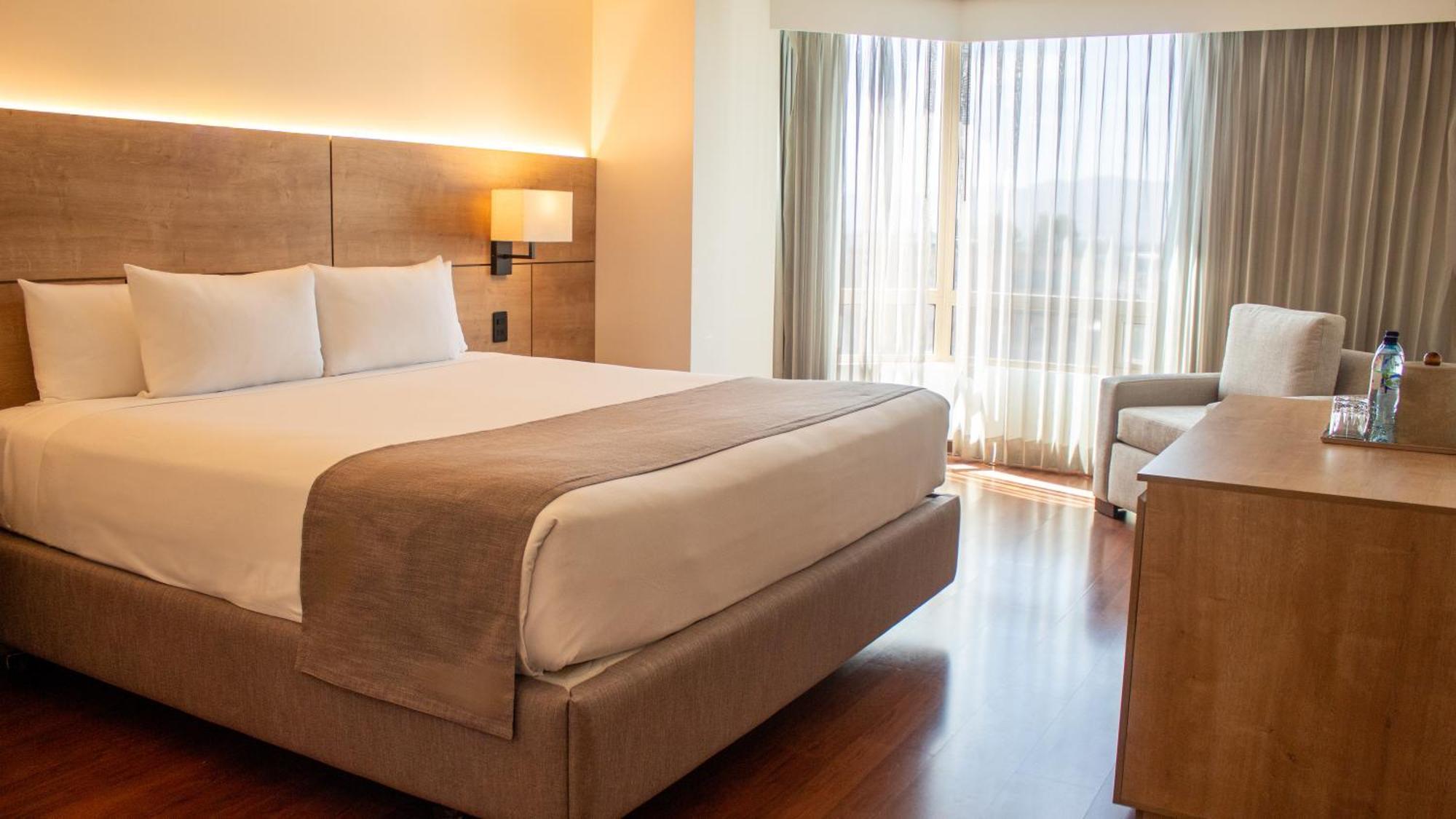 Deluxe King Suite with Sofa Bed