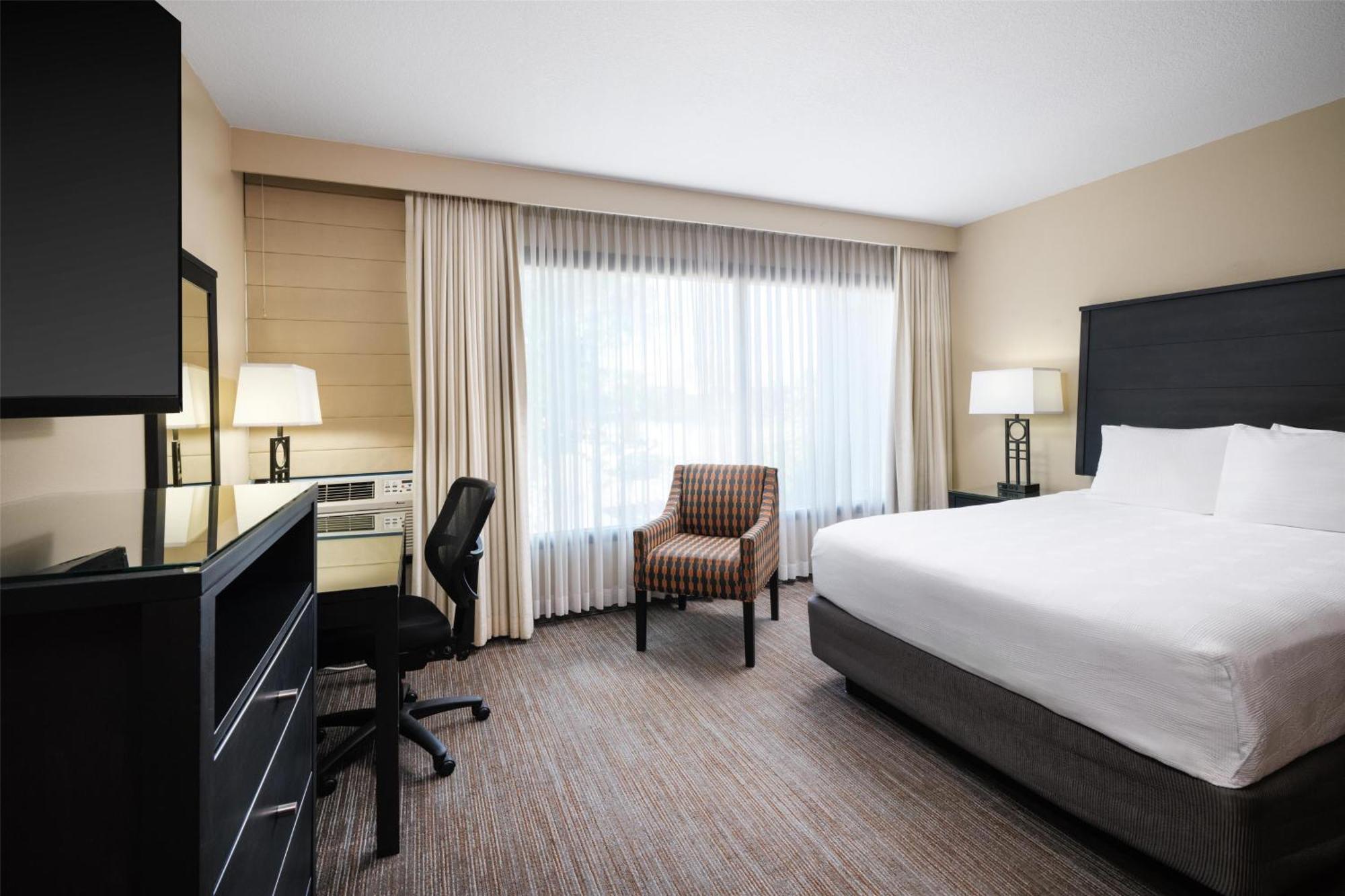 Economy Queen Room - Pet Friendly by Request