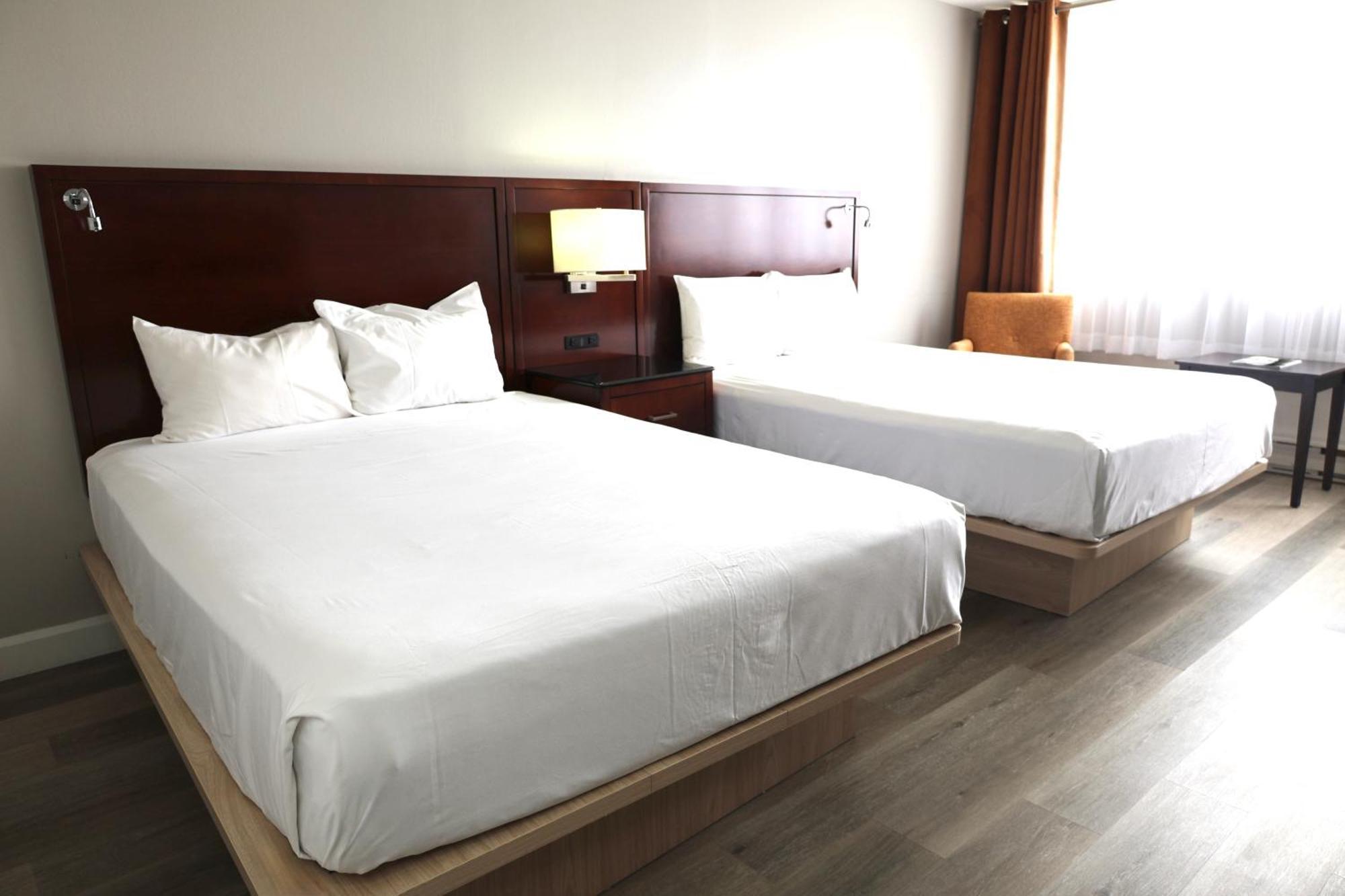 Chambre Distinction avec 2 Lits Queen-Size