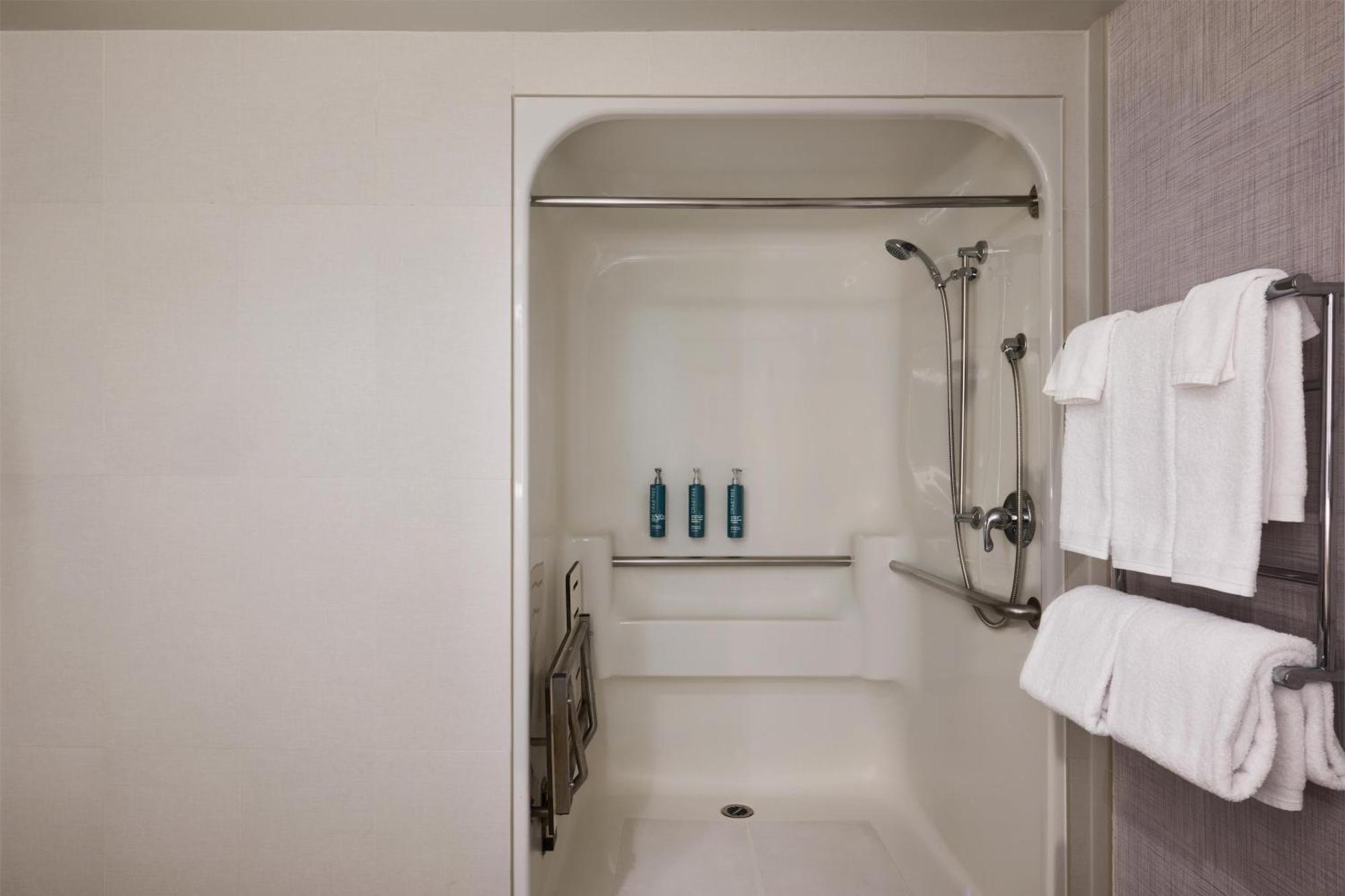 King Room with Sofa Bed and Roll-in Shower - Mobility Accessible
