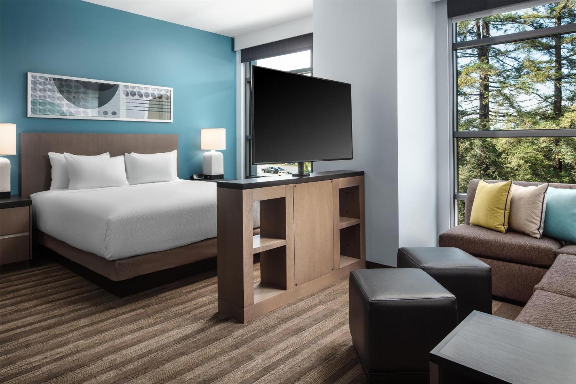 King Studio Suite with Kitchen and Sofa Bed