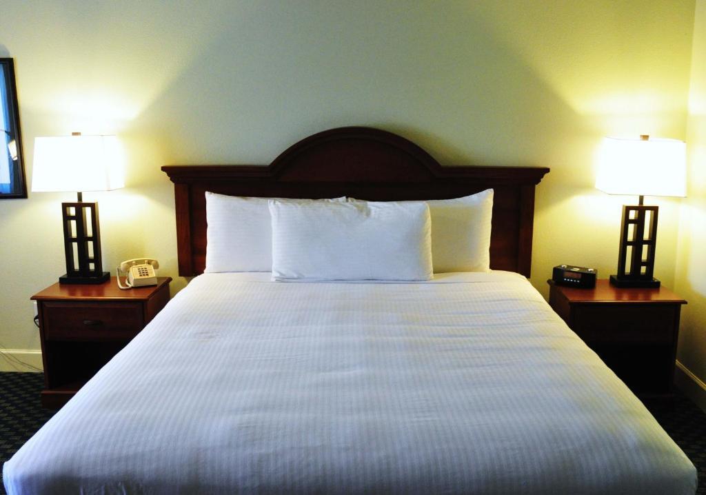 King Suite Sea View - Pet Friendly