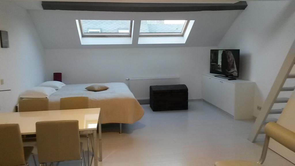 Studio met Kingsize Bed