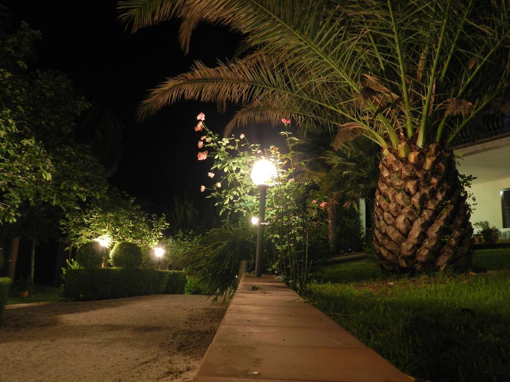 Camera King con Vista Giardino