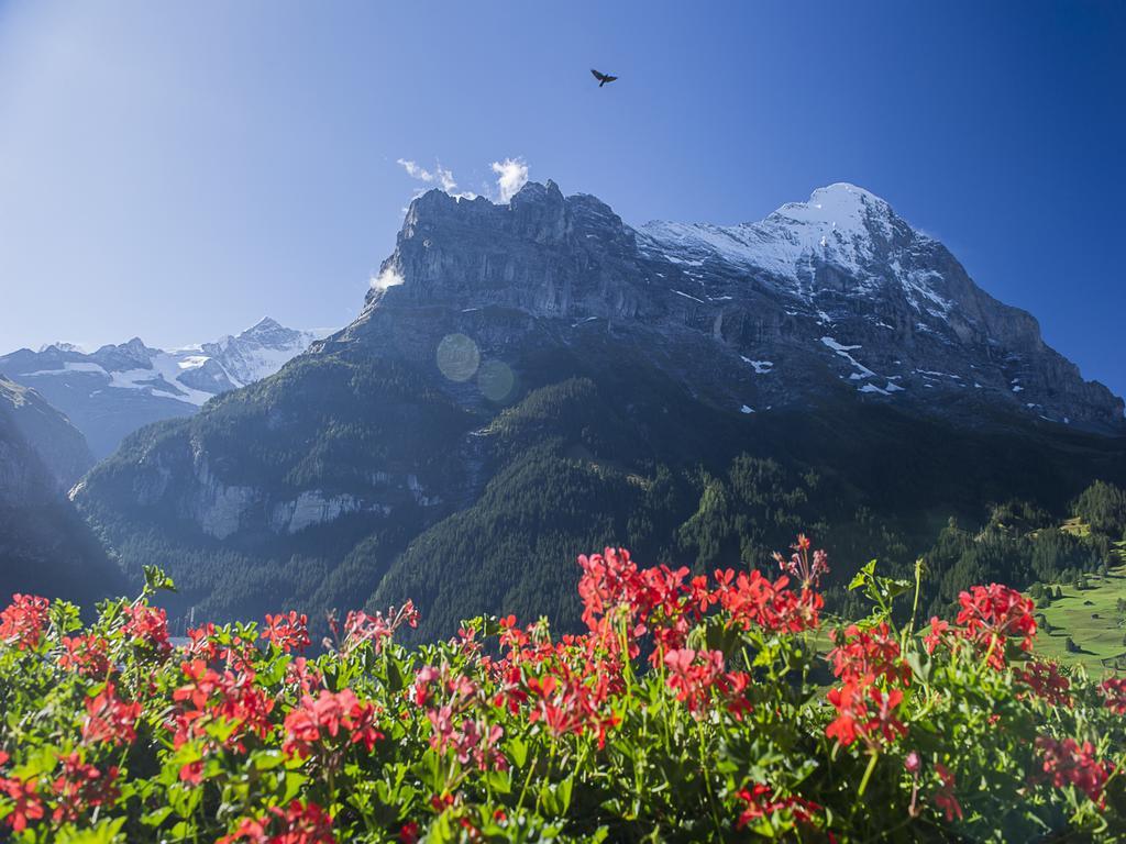 Kleines Doppelzimmer mit Blick auf den Eiger