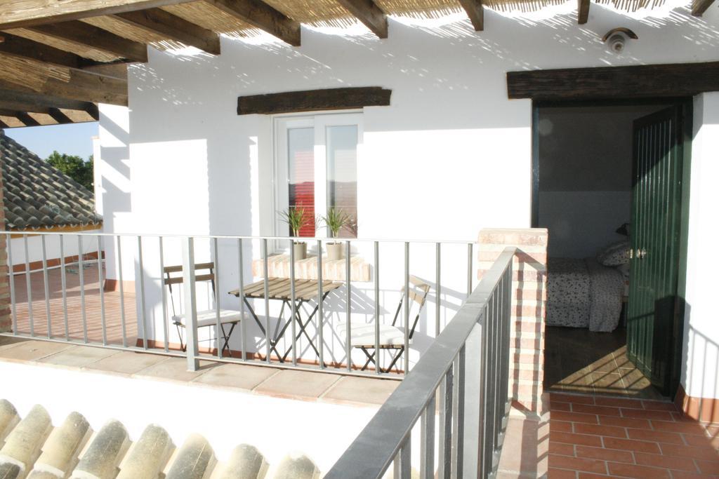 Double Room with Terrace,223541255:JPEG