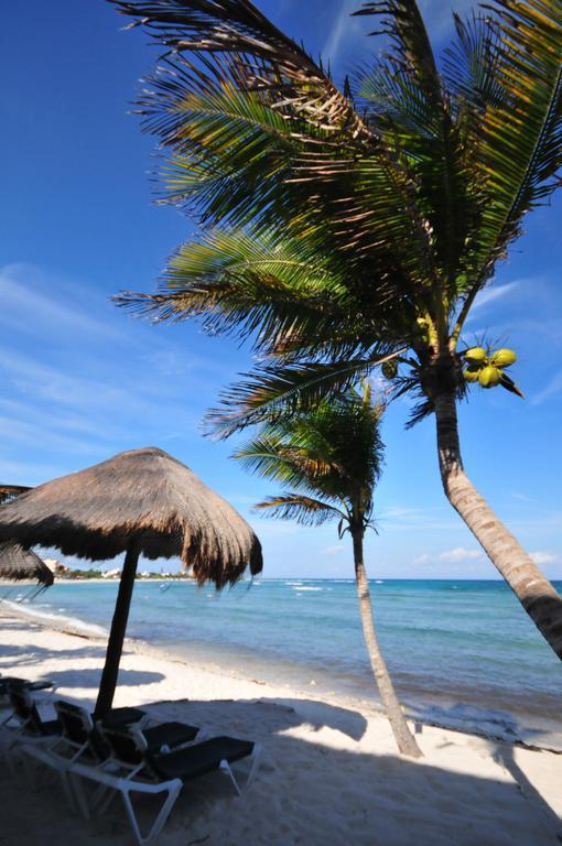 Chambre Lit Queen-Size - Vue sur Mer