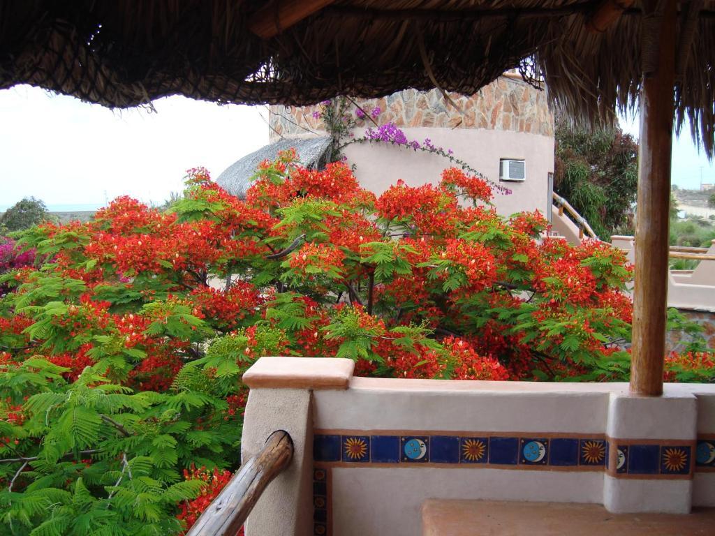 Queen Room with Ocean View