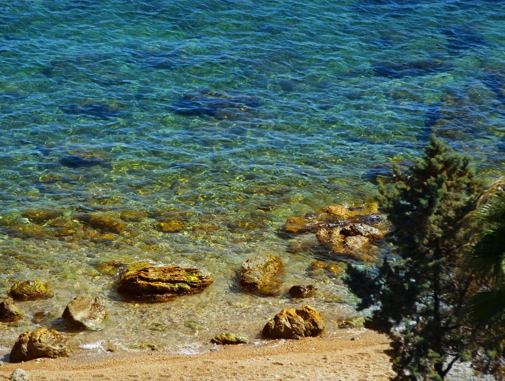 Chambre Double ou Lits Jumeaux - Vue sur Mer