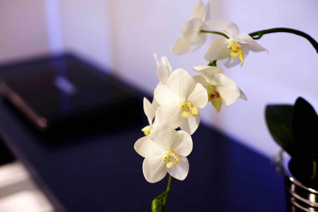 Single Room,26403671:JPEG