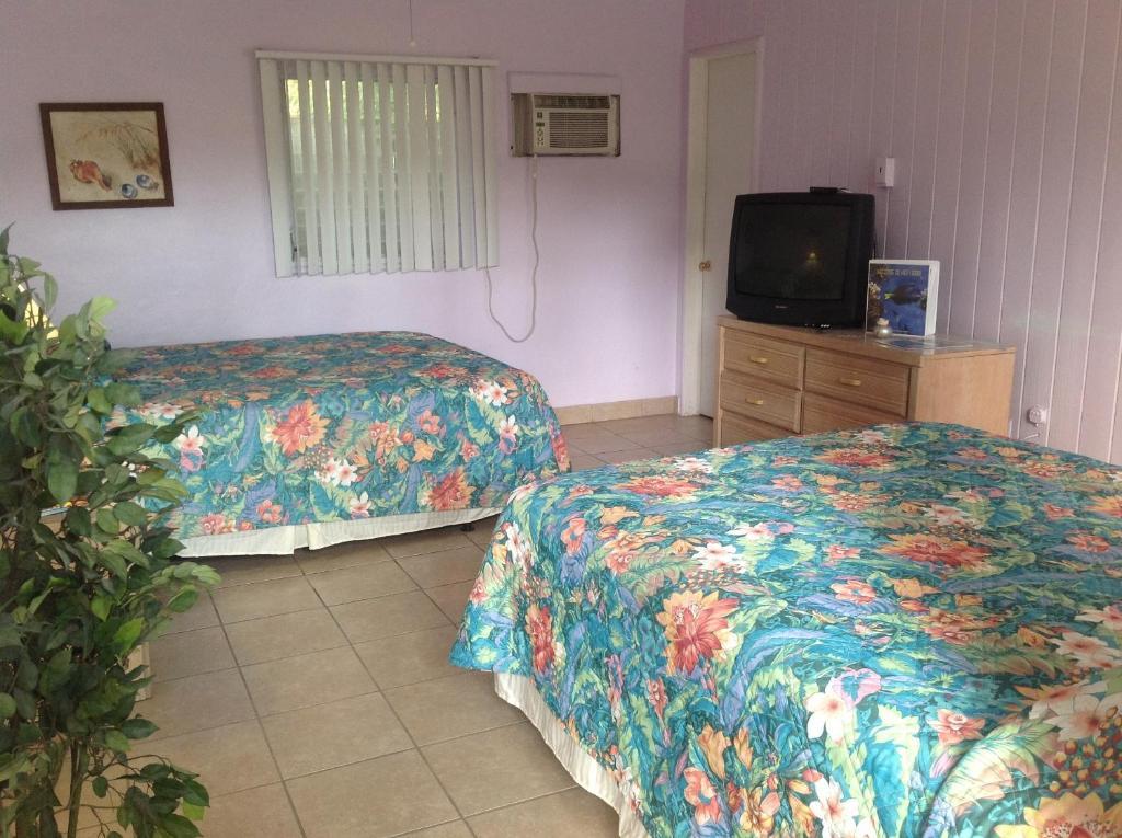 Chambre avec 2 Grands Lits Queen-Size