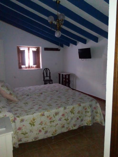 Twin Room,324604792:JPEG