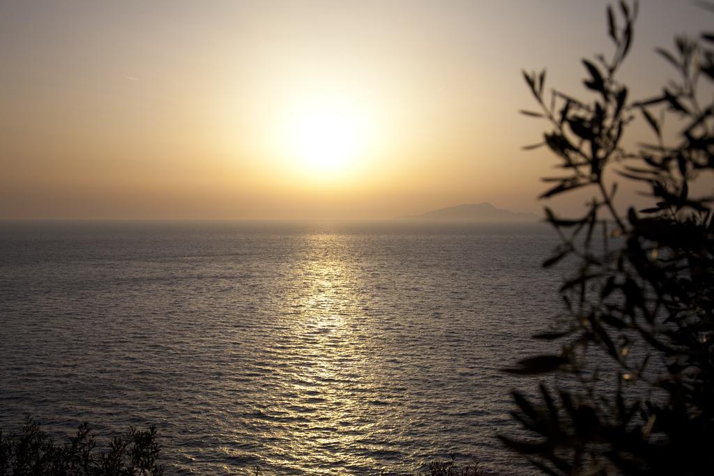 Suite con Vista Mare