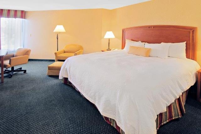 King Room - Non-Smoking