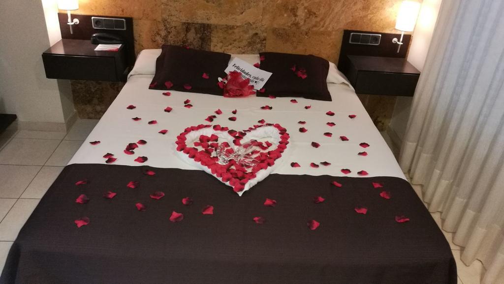Romantisch Arrangement (Huisdieren en Chocolade) - Standaard Tweepersoonskamer met 1 of 2 Bedden