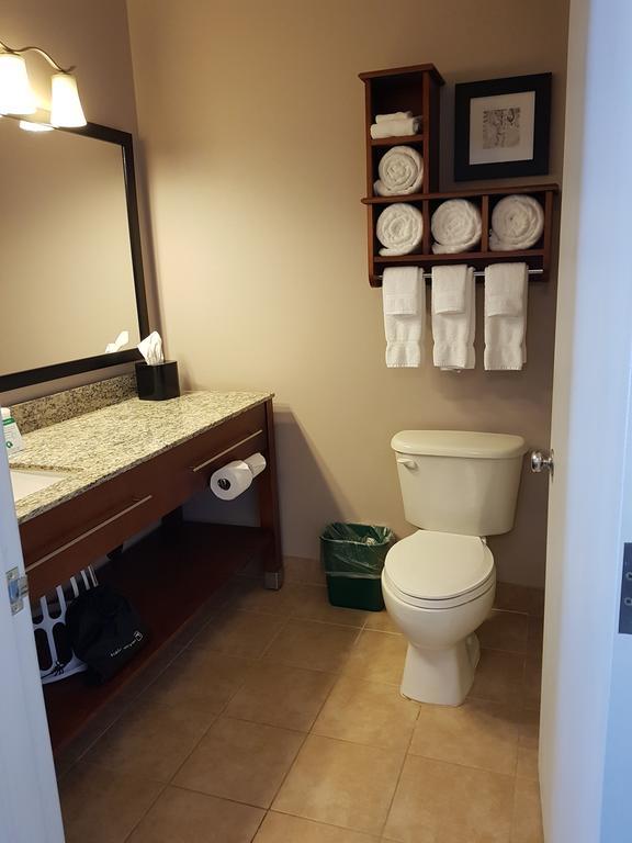 One-Bedroom Queen Suite with Sofa Bed