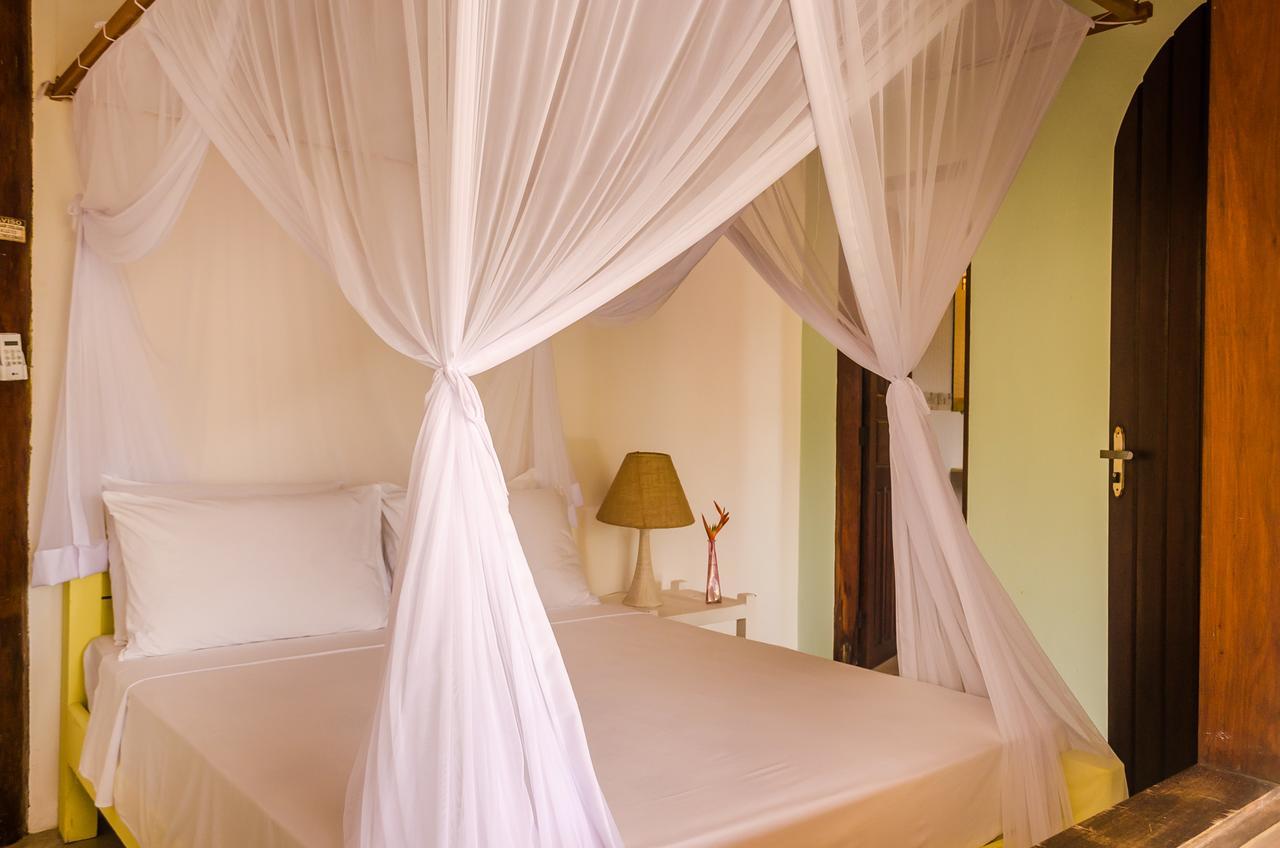 Suite Standard