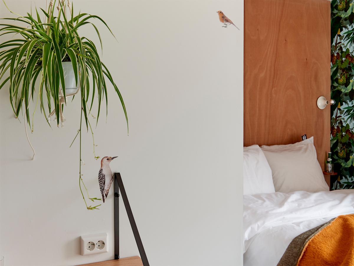 Double Room with Balcony,517896555:JPEG