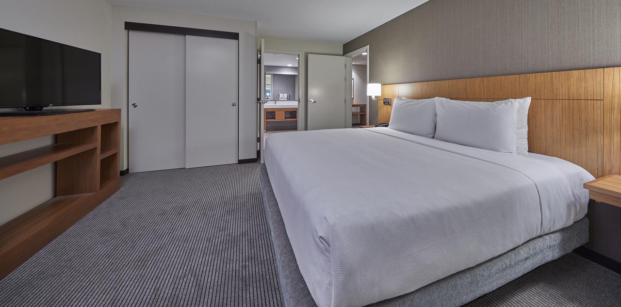 One-Bedroom King Suite with Sofa Bed