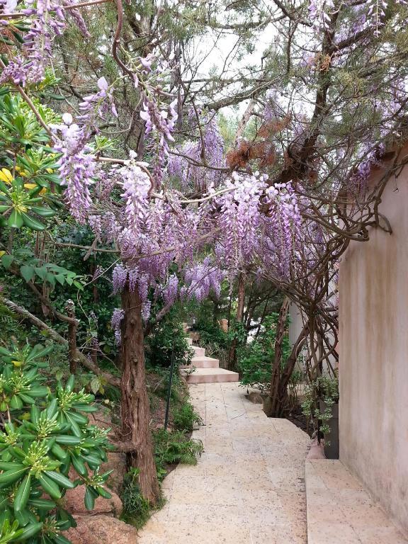 Chambre Supérieure Deluxe avec Baignoire Spa