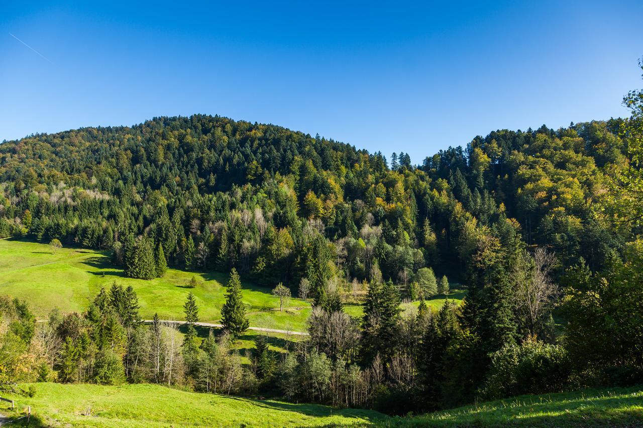Deluxe Einzelzimmer mit Balkon und Bergblick