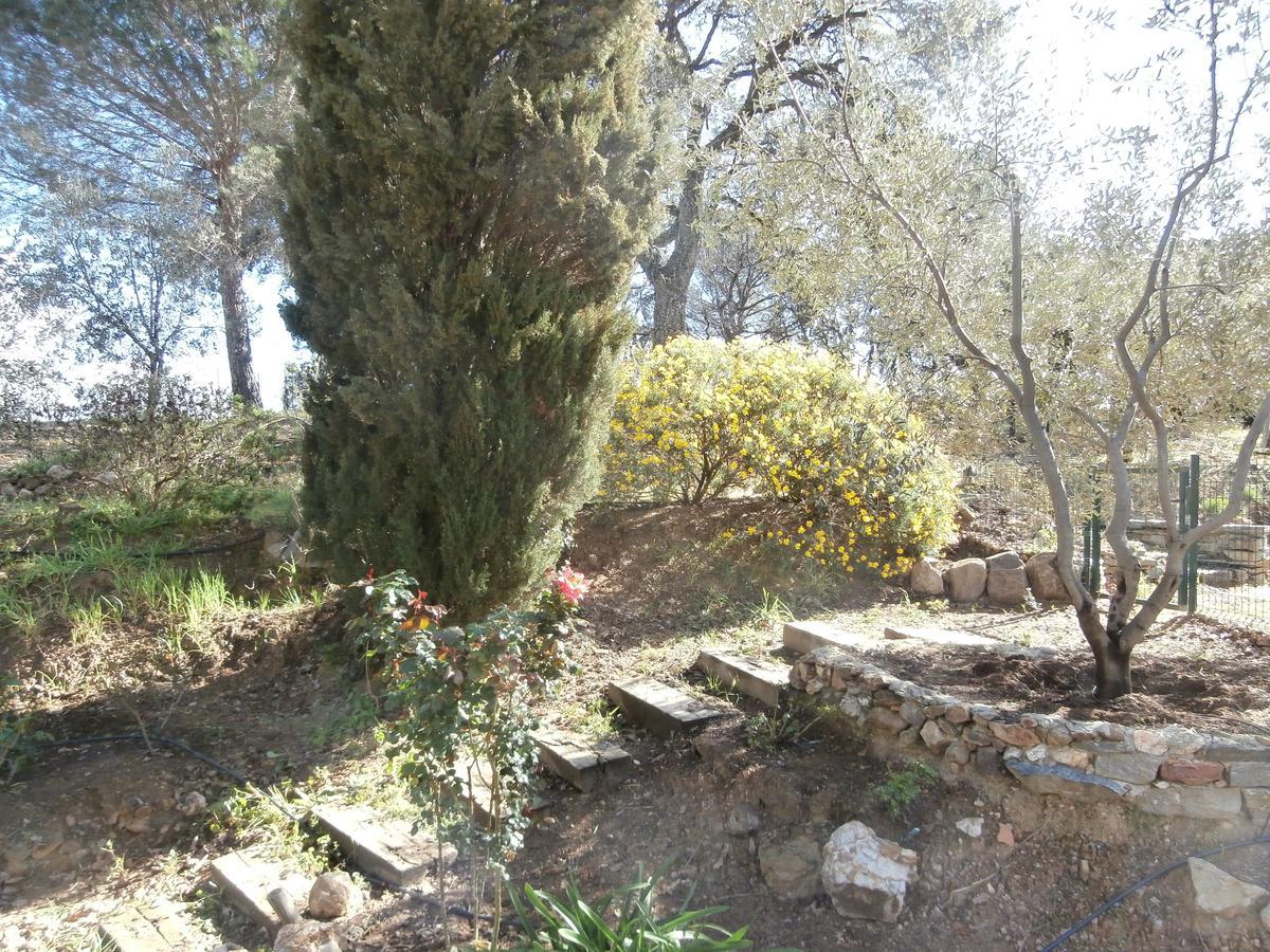 Chambre Double - Vue sur Jardin