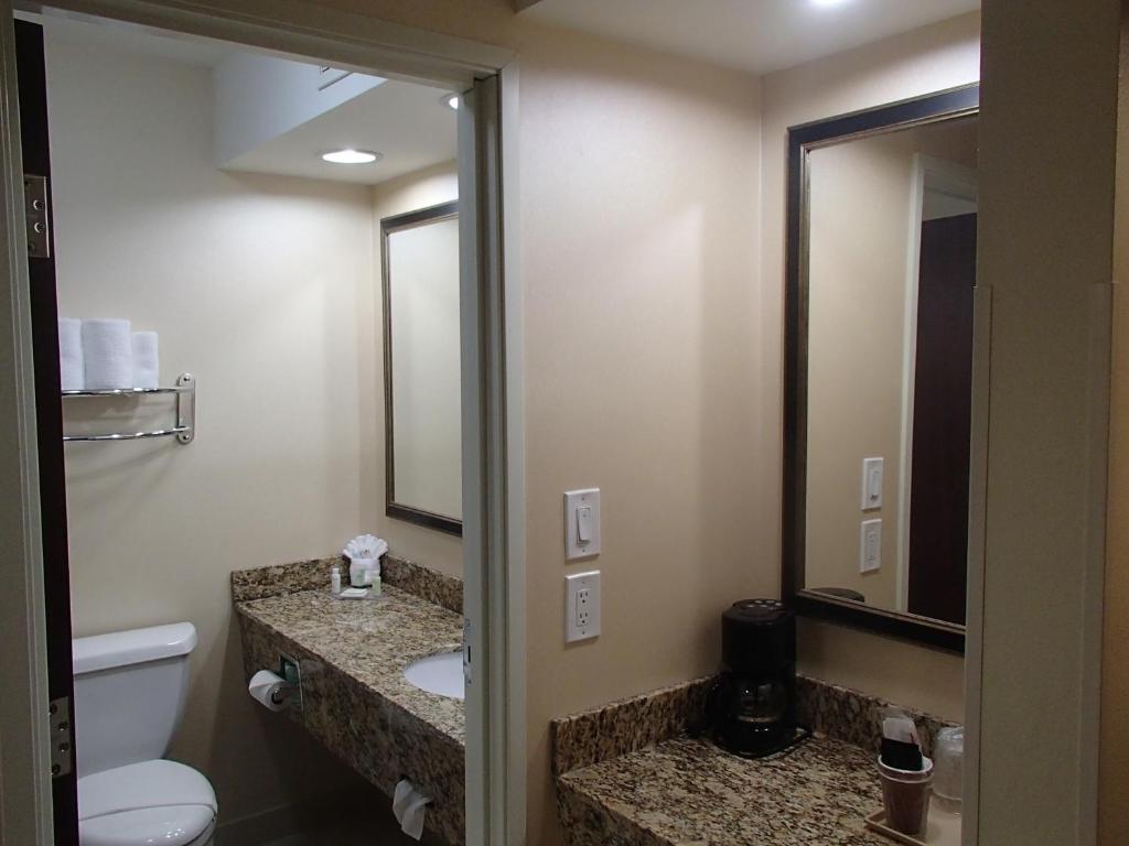 King Room with Roll-In Shower - Mobility/Hearing Accessible - Non-Smoking