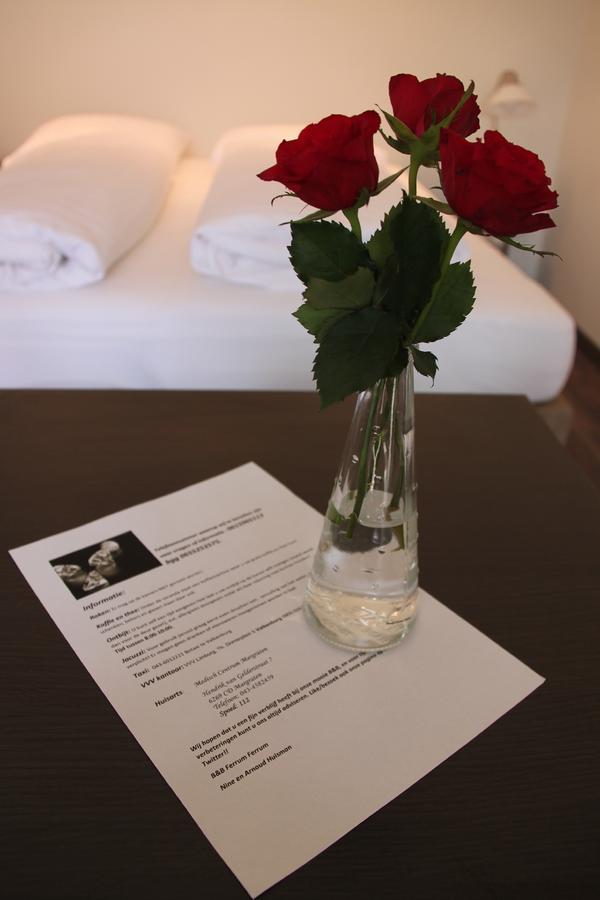 Standaard Tweepersoonskamer met 1 of 2 Bedden en Uitzicht op de Tuin