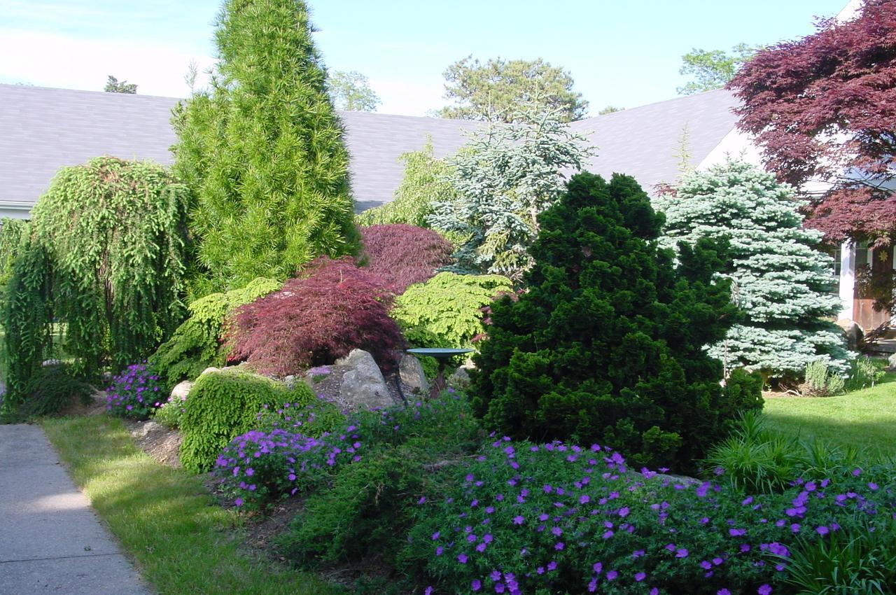 Extra Deluxe Room with Two Queen Beds